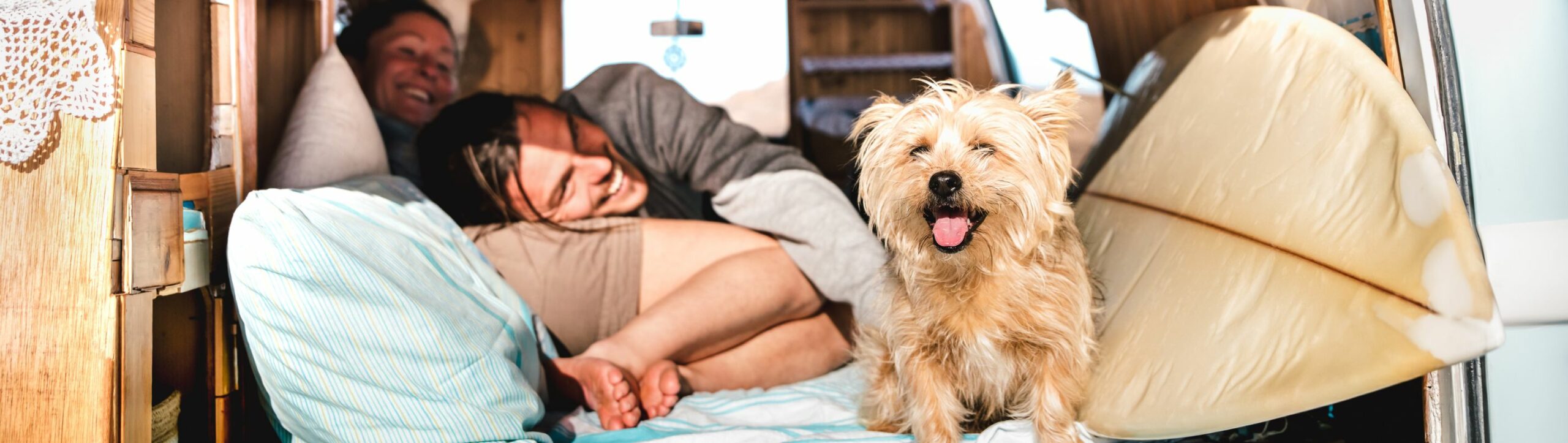 Top 7 destinos de aventura para disfrutar con tu mascota este verano