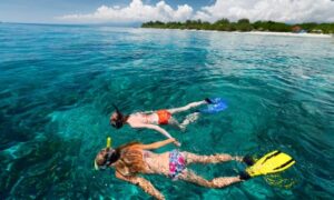 snorkel zanzibar