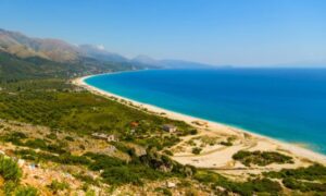 borsh albania