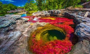Caño Cristales colombia