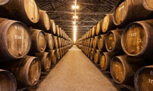 oporto bodegas