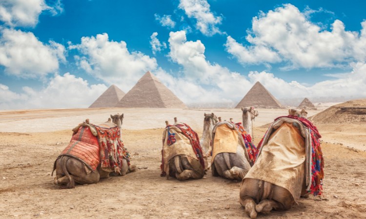 Los Lugares más importantes de Egipto