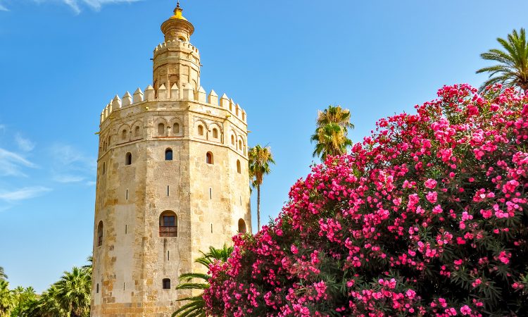 Conoce los mejores hoteles en Sevilla