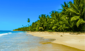 Cahuita costa rica