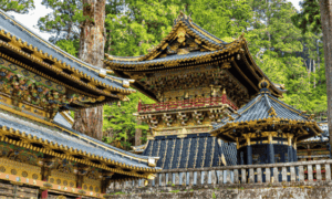 nikko