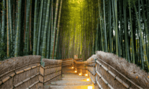 Arashiyama