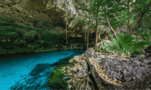 Cenote Dos Ojos