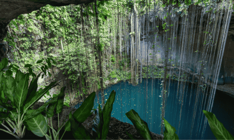 Los Cenotes más impactantes de la Riviera Maya